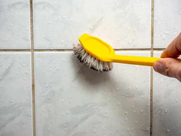 Best Bathroom Mold Remediation in Burlington, WA