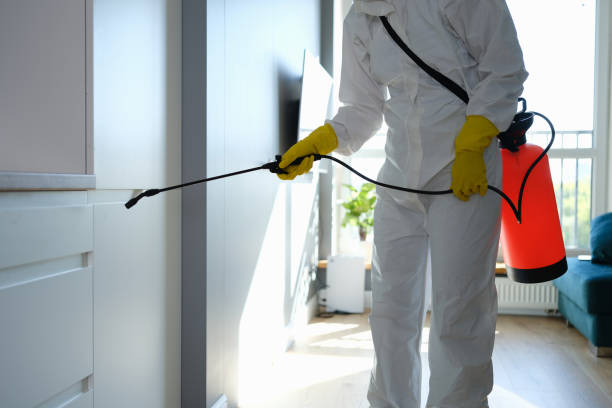 Best Insurance-Related Mold Remediation in Burlington, WA